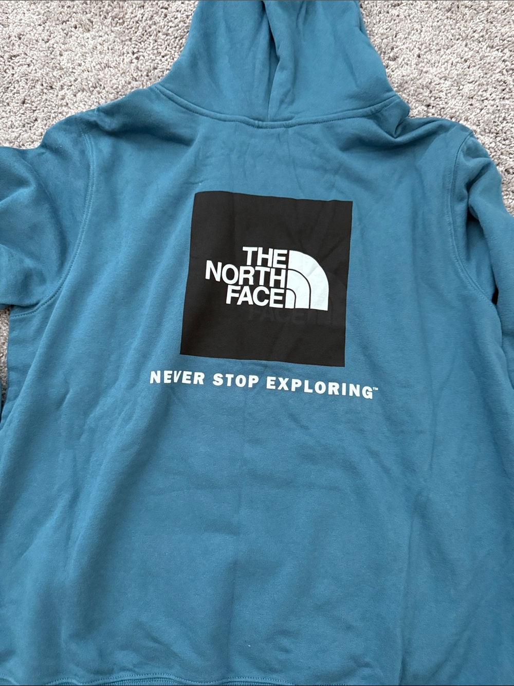 The North Face Teal Blue Pullover Hoodie - Picture 2 of 2